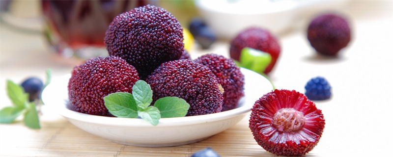 怎么清洗 杨梅的清洗方法J9真人游戏第一品牌杨梅